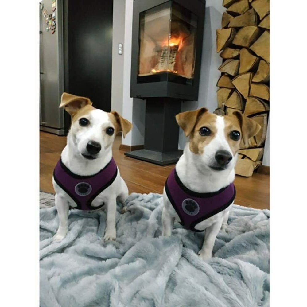 Purple Soft Mesh Dog Harness No Pull Walking Comfort Padded Vest  XS